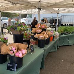 Farm Stall